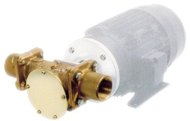 Jabsco Impellerpumpe for 220V