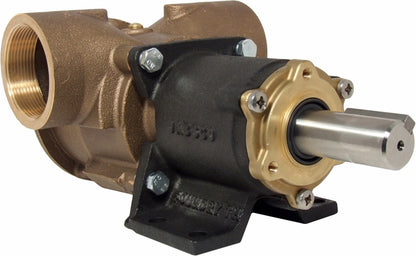 Jabsco Impellerpumpe 270 m/2" BSP-gjengeporter