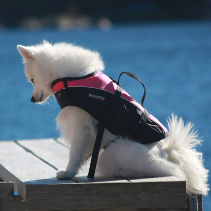 Baltic Mascot hundevest oransje/svart